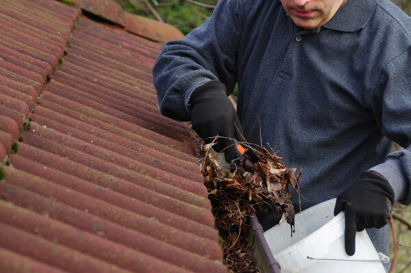 Regular cleaning of the gutter system.